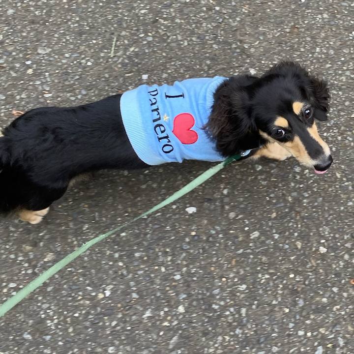 2cf2e310 be46 41eb babd 6f25e60f041b 1695858983063