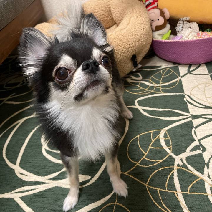 2cf329f1 4994 4e07 86cc 138c68b12890 1647698565623