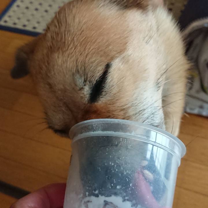 2cf32d27 28b0 4952 ab4e 8af460a02b6c 1539690762010