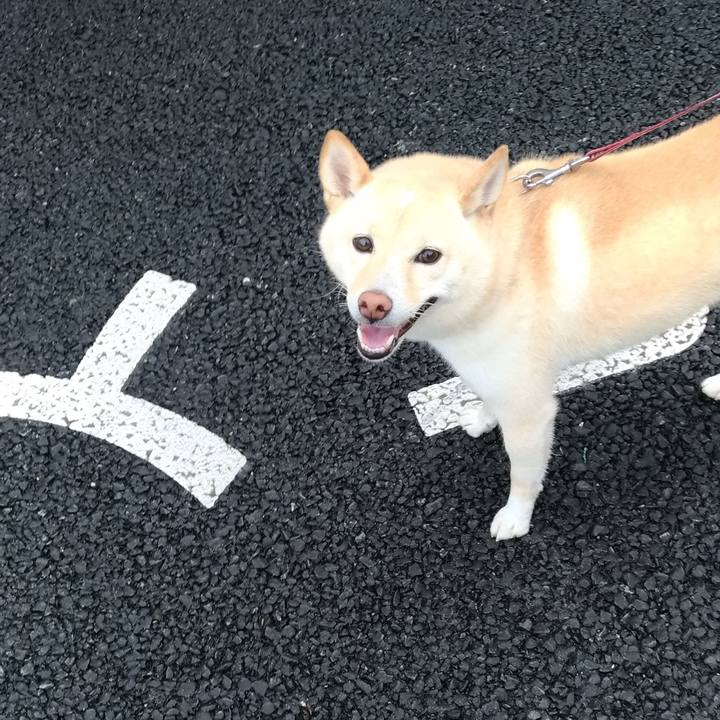 2cf35a6e b412 4810 8a5f 70338f8cee22 1601161806347