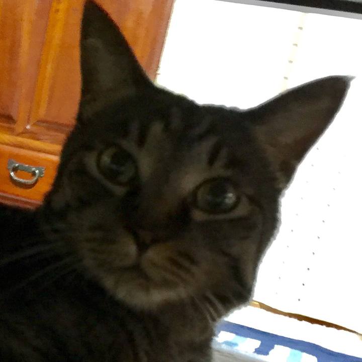 2cf35e2a 6ee8 4396 8e7a 6aed13377d04 1529585328471