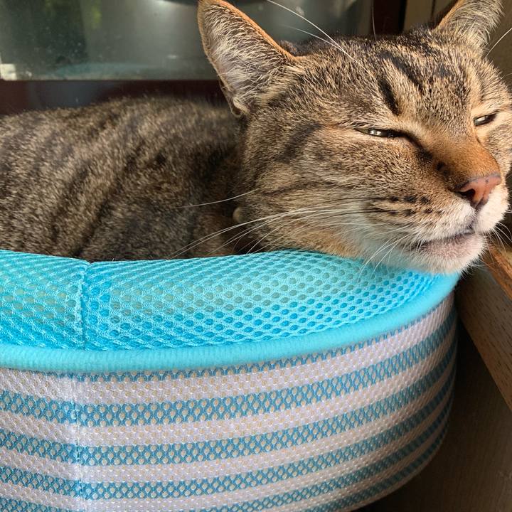 2cf3604d 7fc0 4316 b01b 03de03b0c7ad 1550287077640