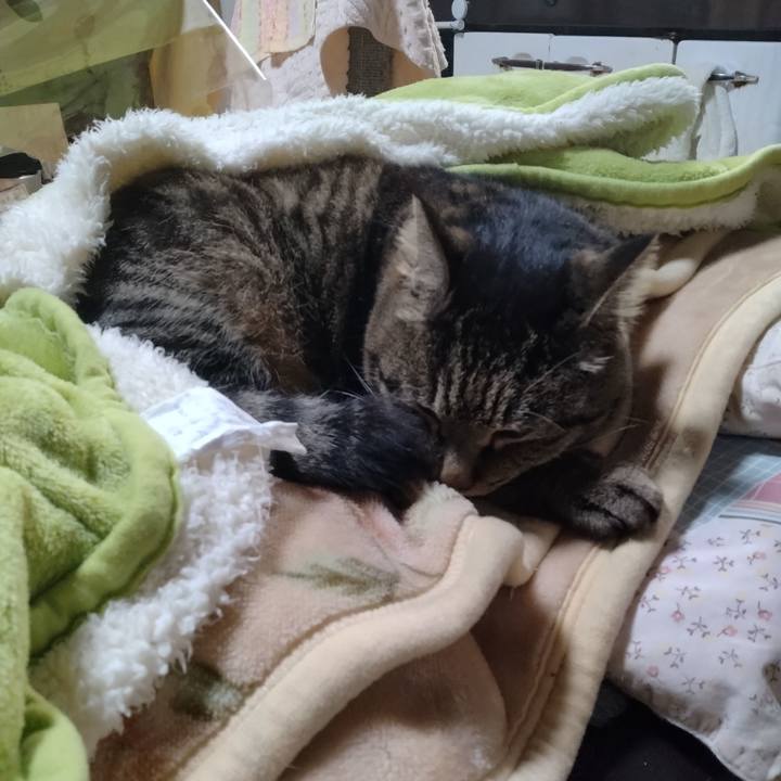 2cf373ce bc30 433a 973a 3d5e8aa0ef3b 1675512220798