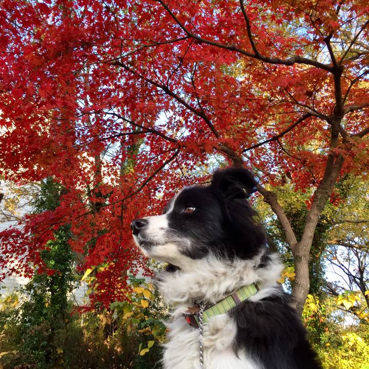 2cf37543 beaa 4ee6 b2ef fbc8f195653e 1574203638848