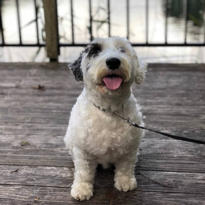 2cf3941c 93d1 4458 bf89 d2f05be62d09 1541947931779