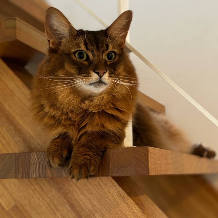 2cf3e5bc 5245 4df1 a56b fb15bc1997d8 1752791110279