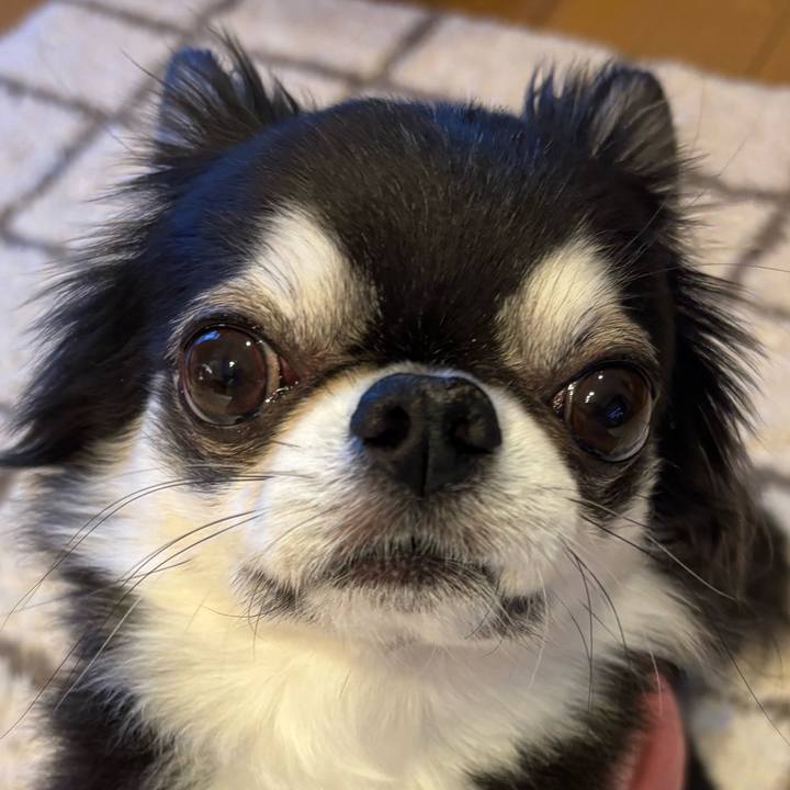 2cf3f229 9bf2 4ebd 99da 77bfedec051b 1739230874994