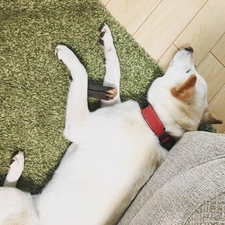 2cf3f9d8 f8a4 42c0 8ec8 4e0da192a139 1532241334174