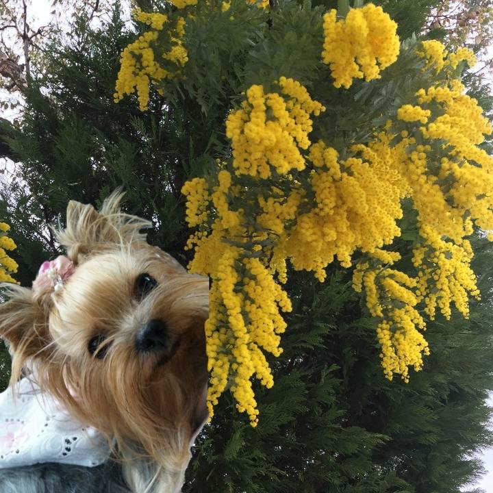 2cf40b6c 27f0 4654 99b0 6c8aef1719d5 1583630223286