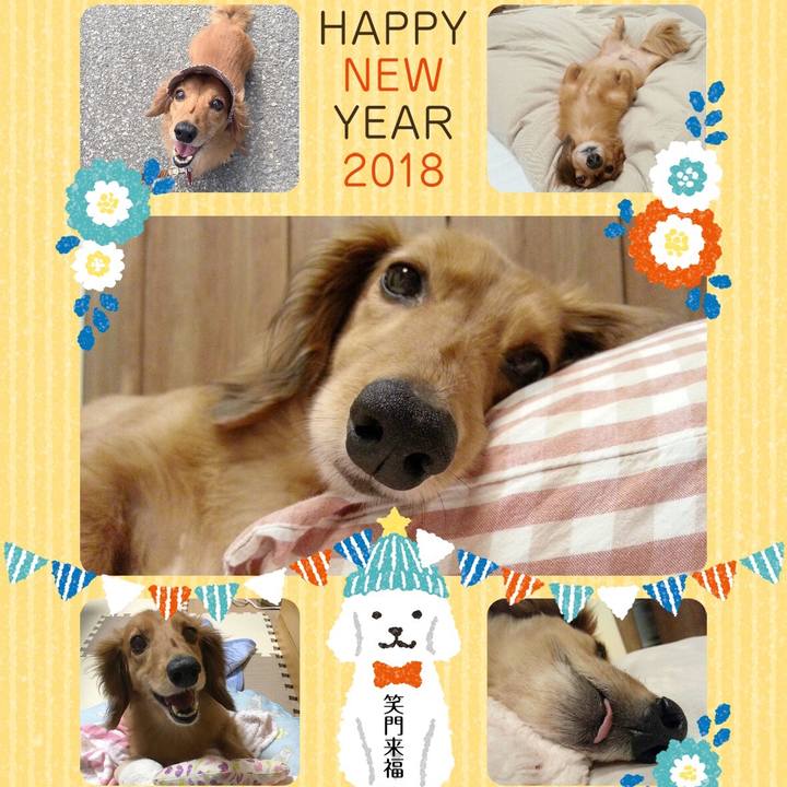 2cf4142c e69c 407d 8e21 2bcc3deff4ea 1514818308376