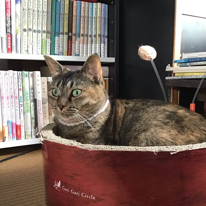 2cf421a3 7dee 4204 926c bc90fe6917f2 1694253494455