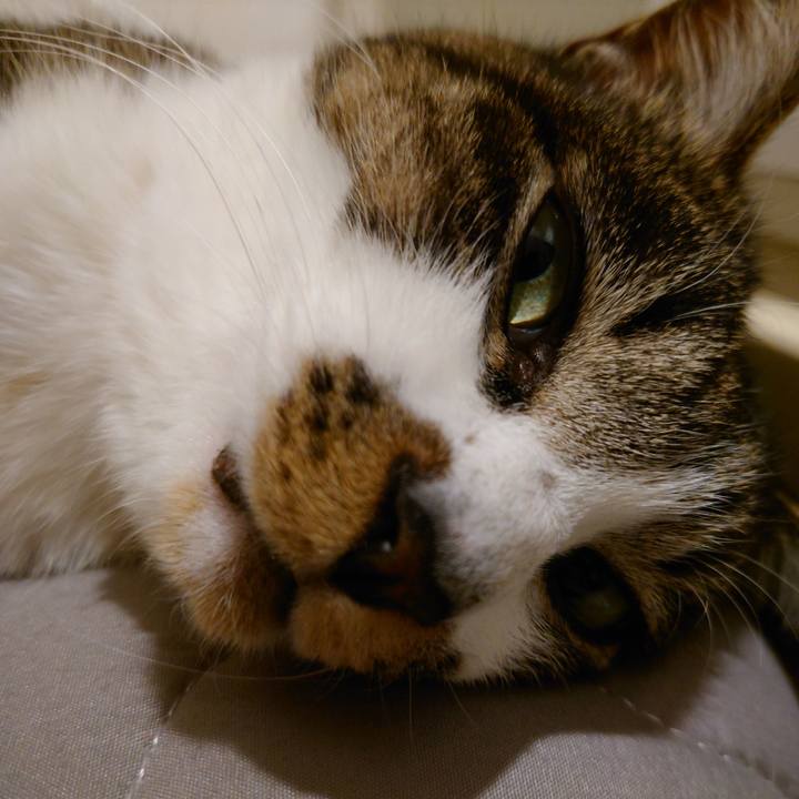 2cf45b8c f7ba 4d36 a4b3 ce249b828c8e 1770124040223