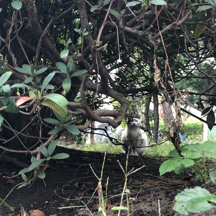 2cf46347 06b7 4e7b 8679 d224a2a15c6a 1542054492876