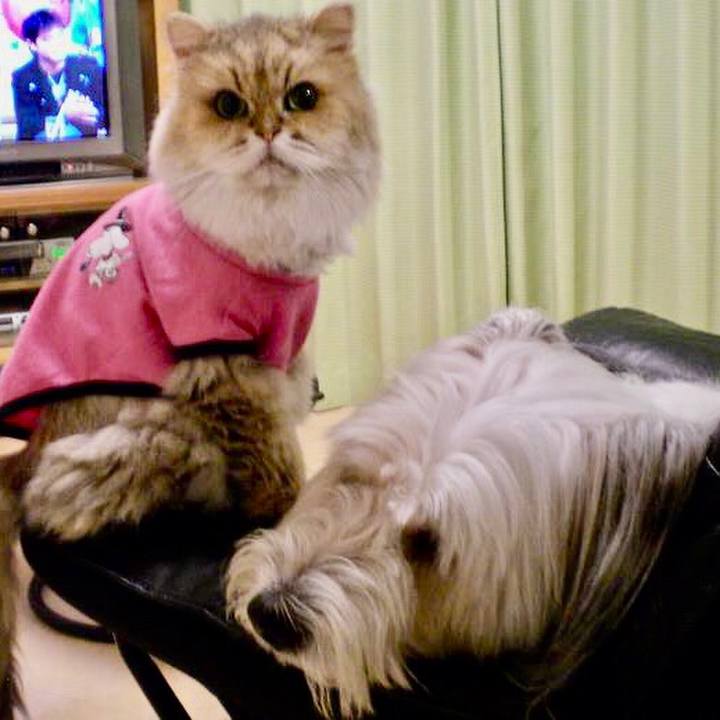 2cf49347 3b10 4e19 ba0f faf0eab6d604 1599290049376