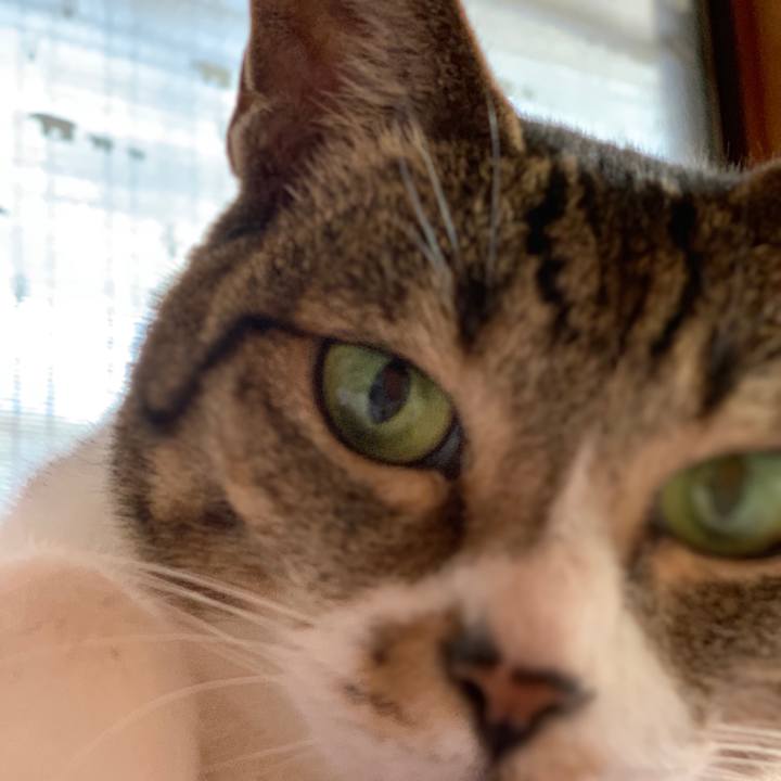 2cf4b39f bf55 4ea6 acc5 84f9d5af2f9e 1541464161959