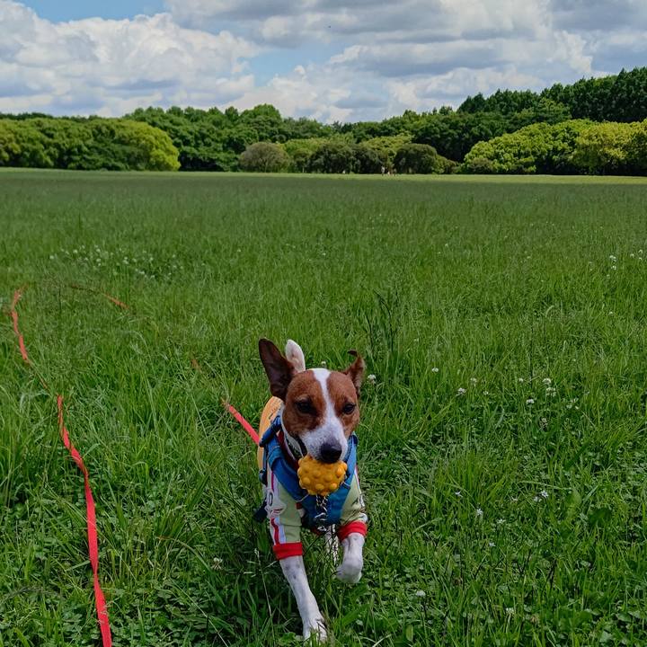 2cf4be04 c620 4577 8b0a 517387cca7f3 1653202182520