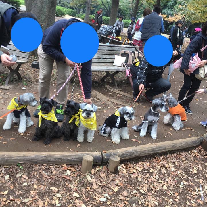 2cf4d792 0935 48b0 946d f174b7105862 1509184026905