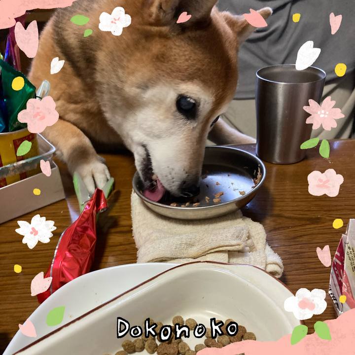 2cf4f7ed 8da7 4e78 9a7a f522d472463d 1710986921325