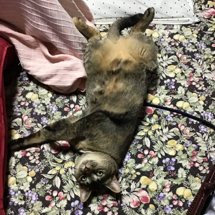 2cf564b5 78b6 4b1b b5a2 dcd62975fe6c 1655530921904