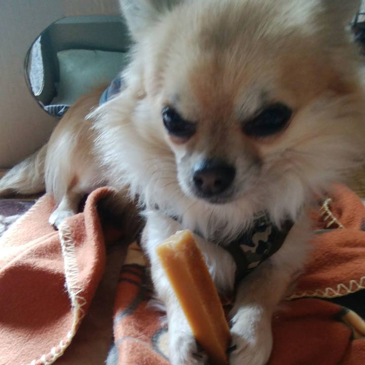 2cf56ce6 a199 40f6 9673 fcad7671b7ea 1517113190061