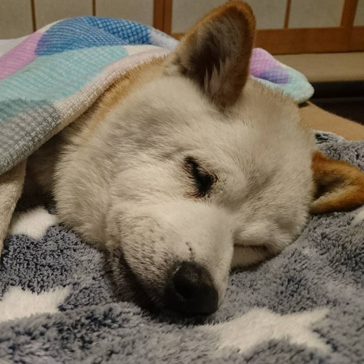 2cf57c29 8acc 4979 a4af 0f380e850eb3 1508160388912