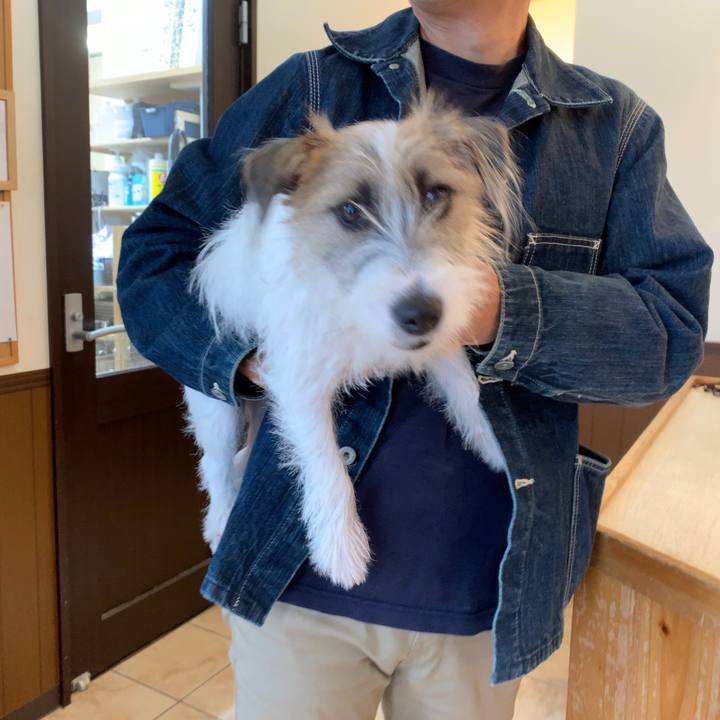 2cf58c4f a729 484e b23c 32b661cc8cc6 1571640873055