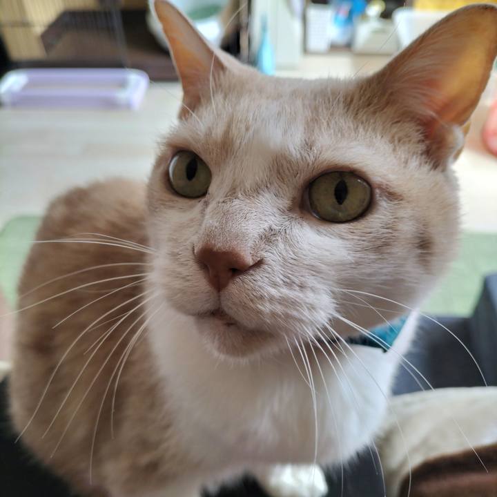 2cf5f582 899b 4a3d 8d59 08c65fdeddc7 1648860458188