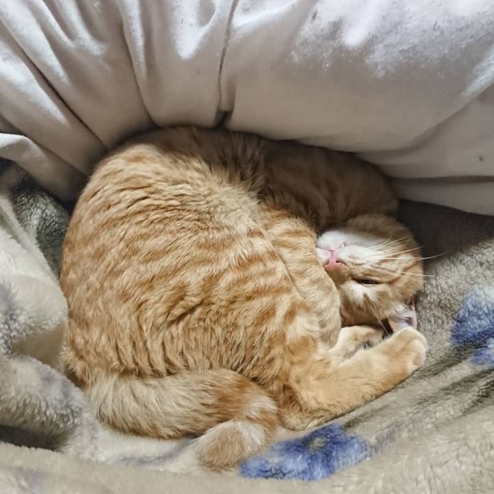 2cf5fa11 0acf 48fd aa7a 37da2ef76613 1649247444033