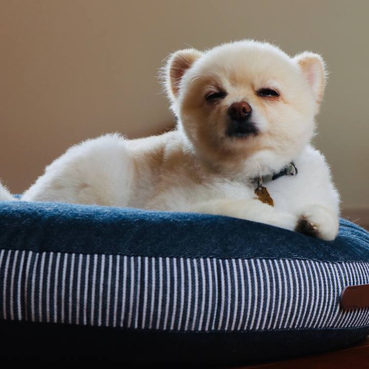 2cf5fbeb 2c59 451f b1e0 d33279e04421 1594789667940