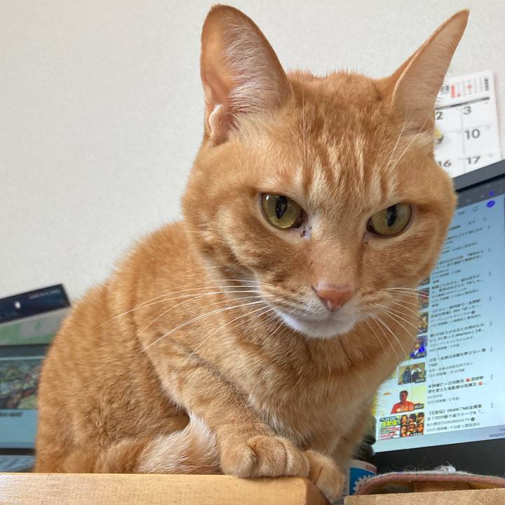 2cf61e6a 18c6 4f42 88ee 82a6cb2cebb5 1768884961347