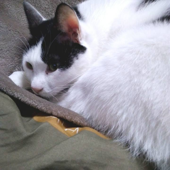 2cf63775 d7df 444a a98b 5e7061b5b563 1544269134044