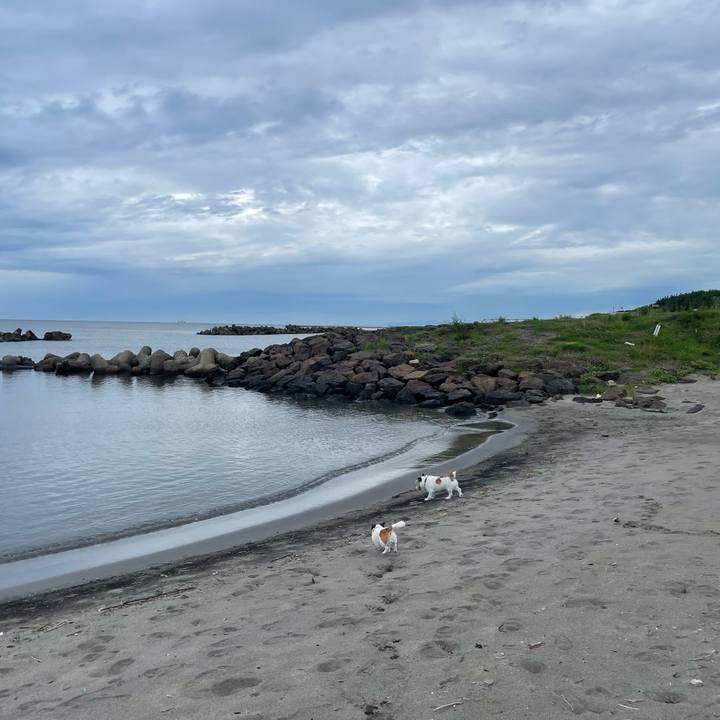 2cf64432 25d4 40ab bcbf 3ce4b8e8bf72 1757722098199