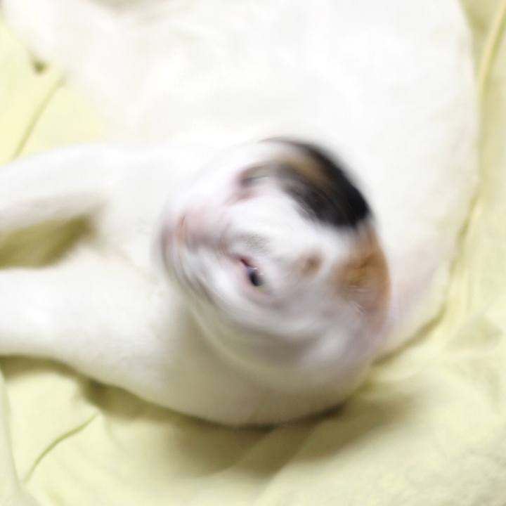 2cf6854a 9603 4156 892c 41608aa3b665 1592271456215