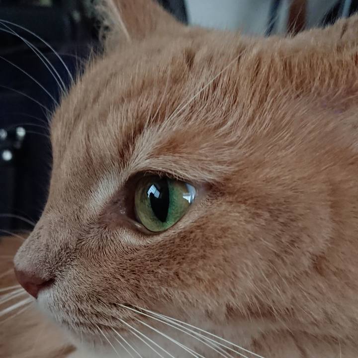 2cf68f44 80b8 41f9 a46d a3927b65529f 1538793595672