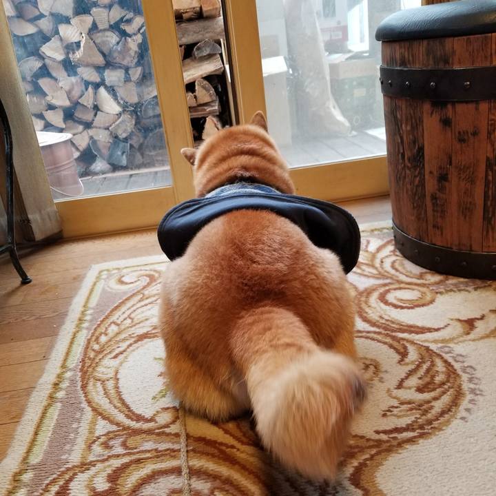 2cf693cf 8707 4b8e b4a0 2216b58e5170 1577316747694