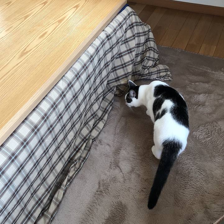 2cf6af14 8032 48a2 9d4c bb2ef11fccd4 1701146982348