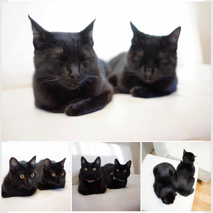 2cf6e81b 46df 4da4 9b09 29560ae1780d 1580424969936