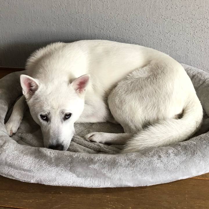 2cf78e13 c598 48a3 a3c6 ee034d9b8545 1552389116447