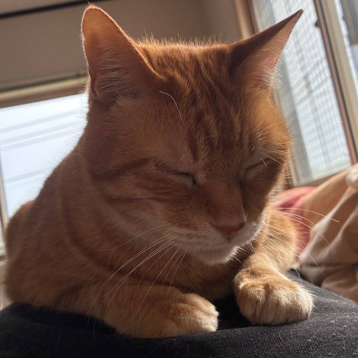 2cf79c5a bdfa 4bf2 bb7e 7903d53f5f8e 1748367619463