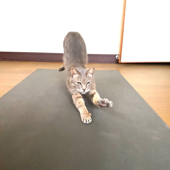 2cf7e5ee 5609 4b4e 81c6 c89eb537744d 1594973062160