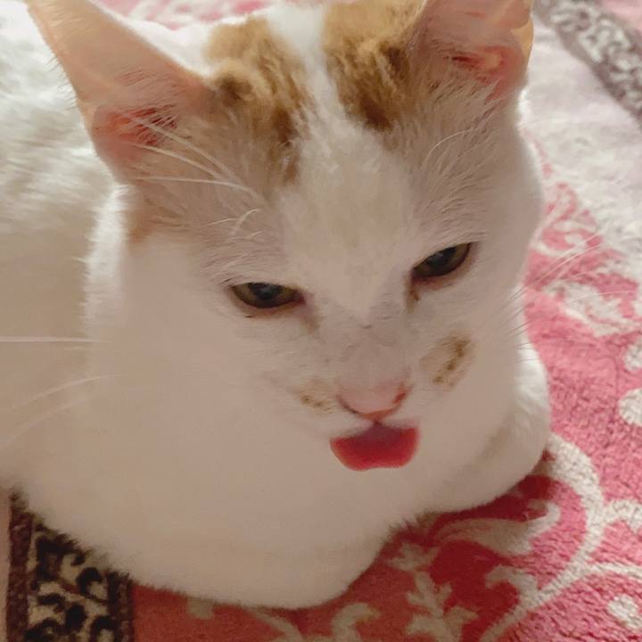 2cf83fee 07f4 423f 94e1 995f51ad8629 1606391807932