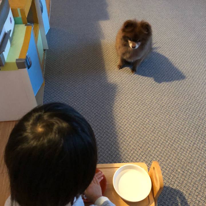 2cf89aff d5d6 4f20 b522 6e1c479a222e 1546745872044