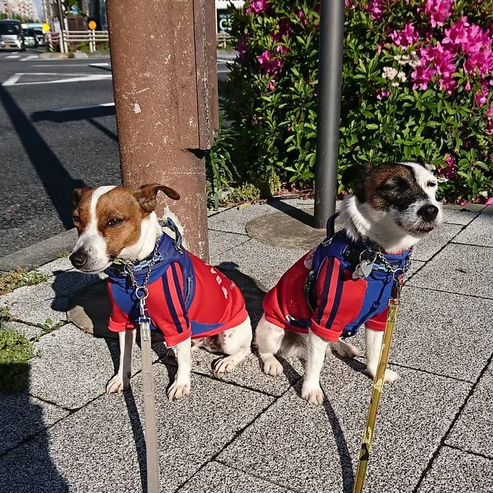 2cf8ea1f a98c 4af6 93be 2f3aaa147d7b 1588803350391