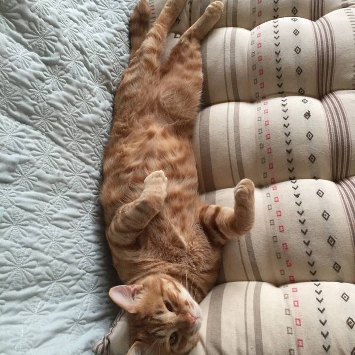 2cf90e6c d57f 402f 96aa 53737359d78f 1530193028262