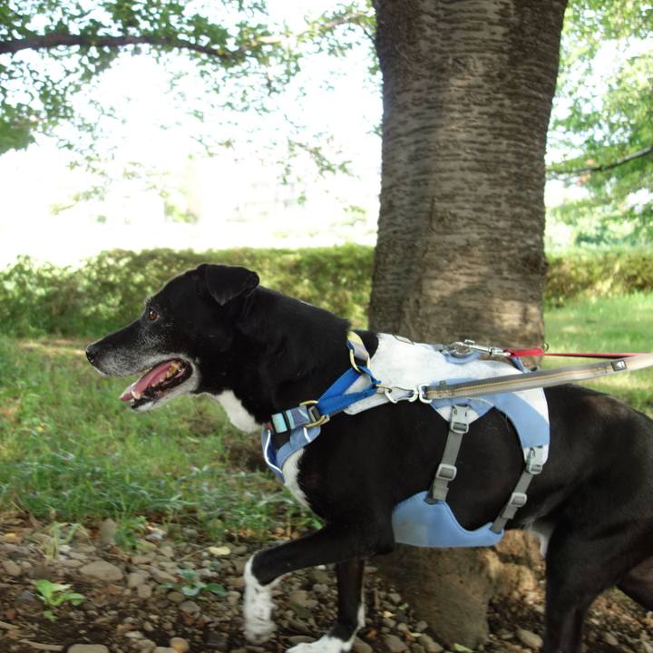 2cf914ad 2267 46b9 9bde 755d805d8ee2 1751263913962