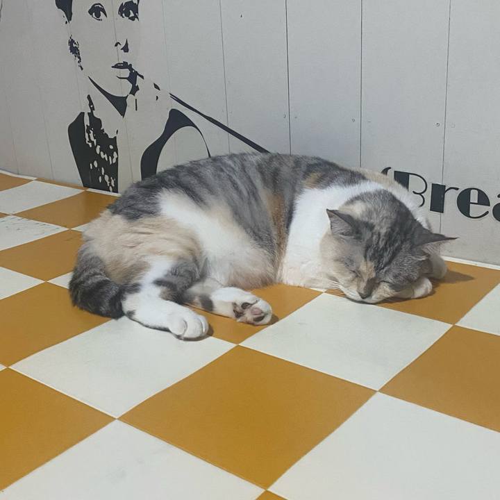 2cf9406f 8737 47cd b602 7eba5466763b 1725377944730