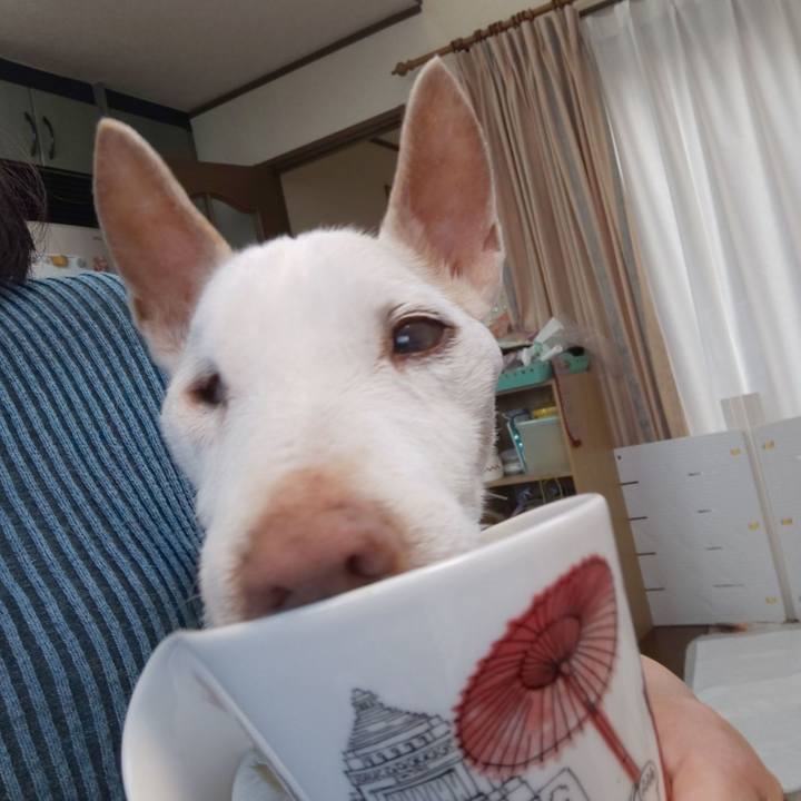 2cf96e52 a331 45ad aaa3 b54b2d3c85bb 1588895369602