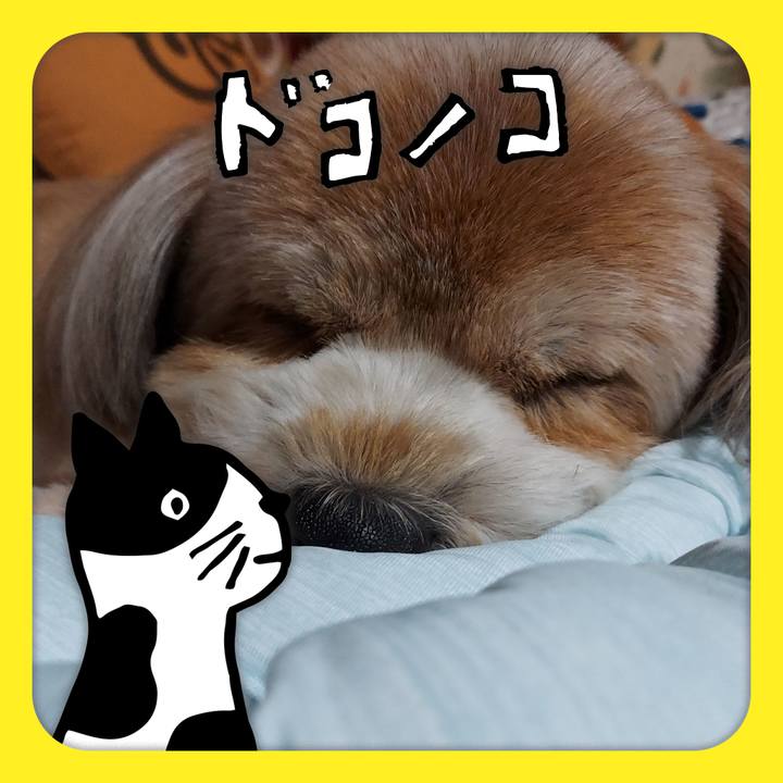 2cf975b2 f2f3 46ff a1e2 27a675d0e7a0 1623421872919