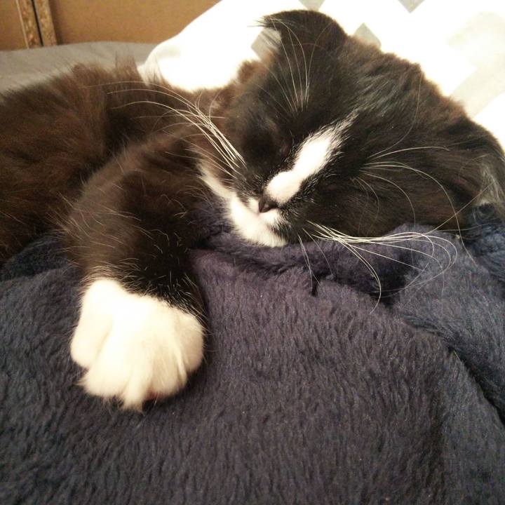 2cf99920 6a4f 4a9a 8dd6 be5a77239a02 1640841387286