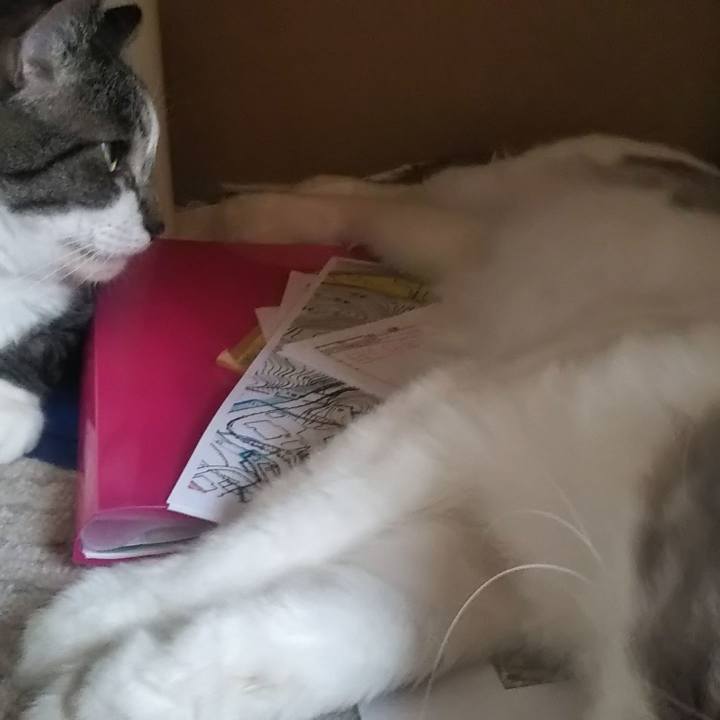 2cf9a6d9 7a2f 4ab8 9a43 c345241519ec 1627892378764